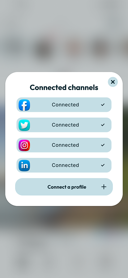 Connected channels sheet with Facebook, Twitter, Instagram, and LinkedIn linked